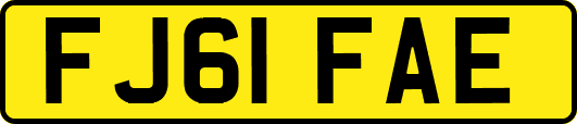 FJ61FAE
