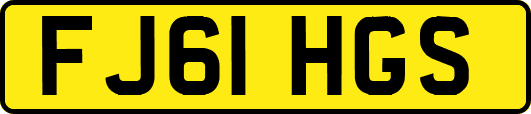 FJ61HGS