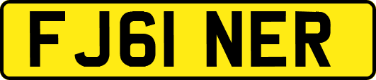 FJ61NER