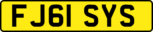 FJ61SYS