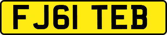 FJ61TEB
