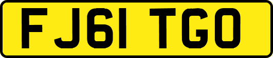 FJ61TGO