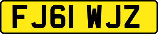 FJ61WJZ