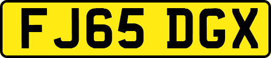 FJ65DGX