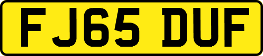 FJ65DUF