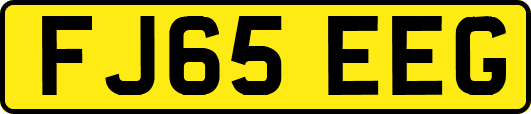 FJ65EEG