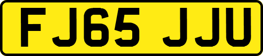 FJ65JJU