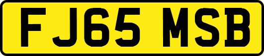 FJ65MSB