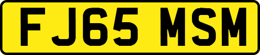 FJ65MSM