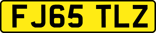 FJ65TLZ