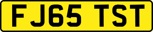 FJ65TST