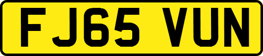 FJ65VUN