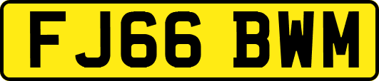 FJ66BWM
