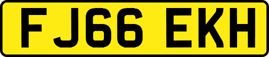 FJ66EKH