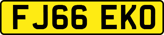 FJ66EKO