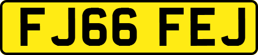FJ66FEJ