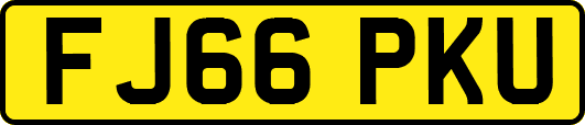 FJ66PKU