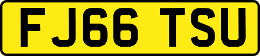 FJ66TSU