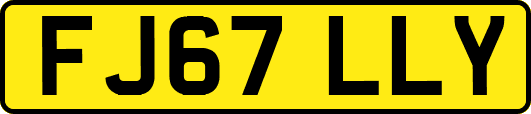 FJ67LLY