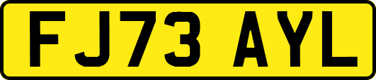 FJ73AYL