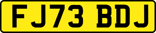 FJ73BDJ