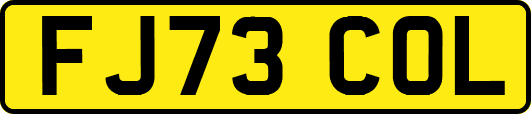 FJ73COL