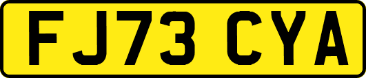 FJ73CYA