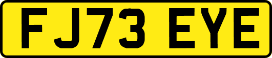 FJ73EYE