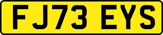 FJ73EYS