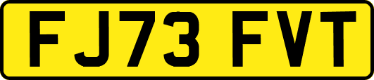 FJ73FVT