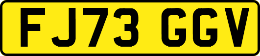 FJ73GGV