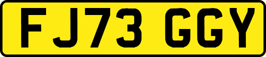 FJ73GGY