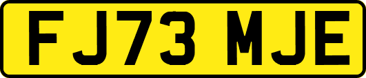 FJ73MJE