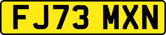 FJ73MXN