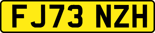FJ73NZH