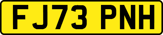 FJ73PNH