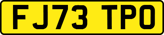 FJ73TPO