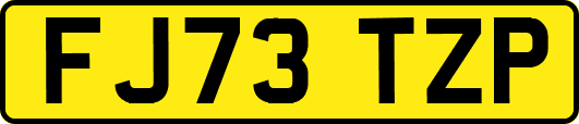 FJ73TZP