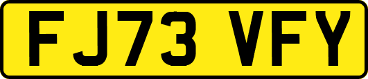 FJ73VFY