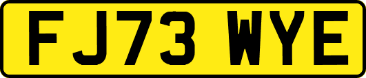 FJ73WYE