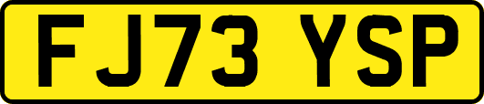 FJ73YSP