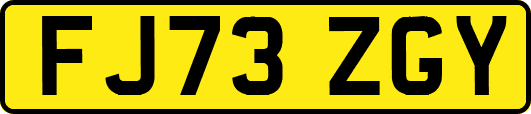 FJ73ZGY