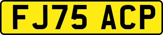 FJ75ACP