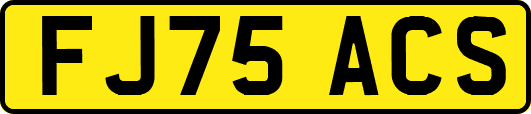 FJ75ACS