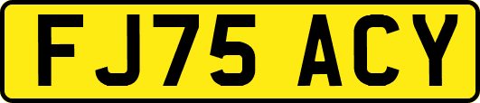 FJ75ACY