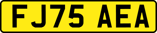FJ75AEA