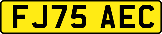 FJ75AEC