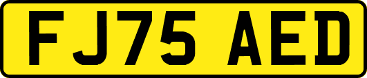 FJ75AED