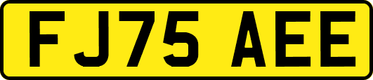 FJ75AEE
