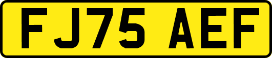 FJ75AEF